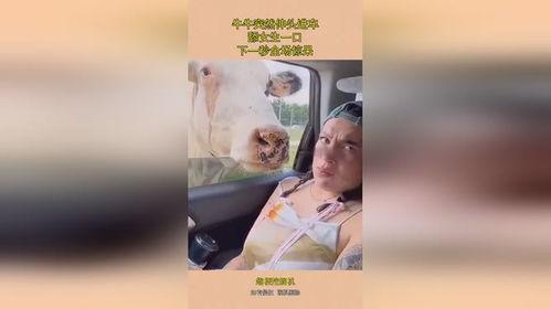 舔下面的在线观看,揭秘都市情感纠葛