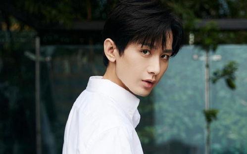 成毅 最新 大爆料,演艺圈背后的惊人真相