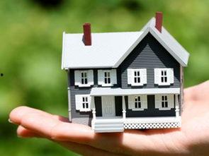 四房在线观看,揭秘网络影视的多元化魅力