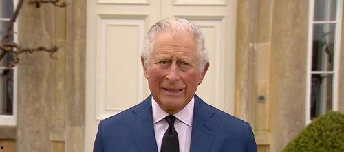 查尔斯最新爆料消息新闻,揭秘不为人知的幕后真相