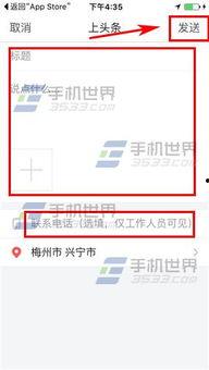 今日头条爆料怎么找人,如何洞察人生百态，开启智慧人生之旅