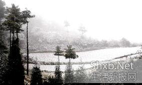 昆明爆料下雪事件最新,市民欢声笑语迎瑞雪