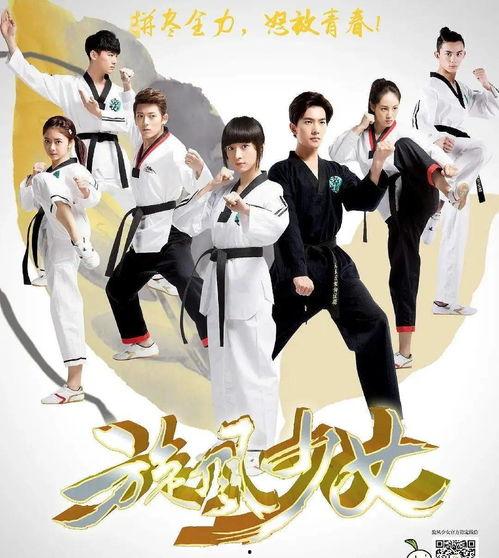 旋风少女土豆网在线观看,青春热血燃情再现！