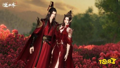 逆水寒婚礼爆料大全最新,揭秘游戏内浪漫婚典全攻略