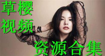 草婴视频在线观看,探寻文学大师的智慧之光