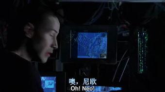 黑客帝国最新爆料视频网,揭秘未来世界，全新剧情震撼来袭！